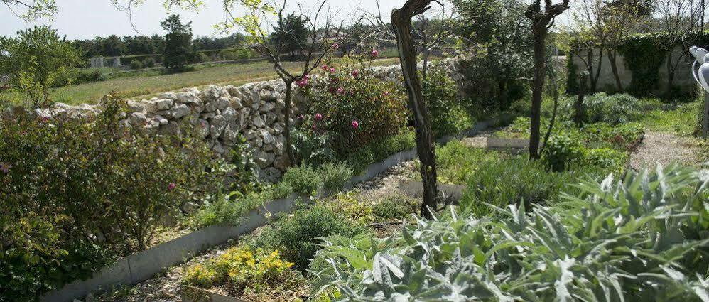 Masseria La Meridiana Altamura Exteriör bild