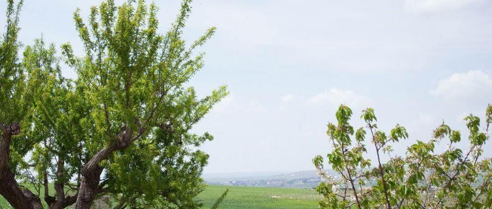 Masseria La Meridiana Altamura Exteriör bild